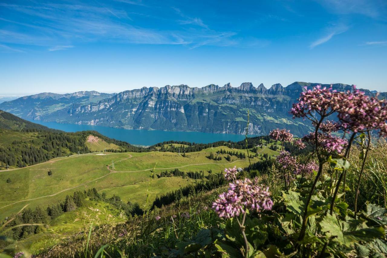 Alte Sektion Und Alpenblick Hotel Flums Exterior photo